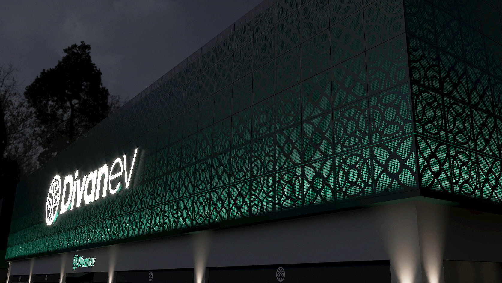 DİVANEV